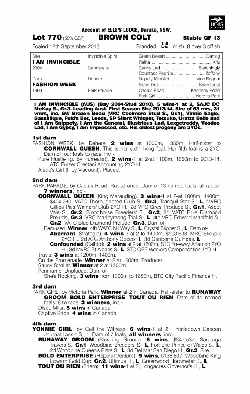 Invincible Mode (AUS) - pedigree