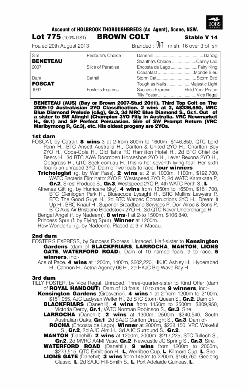 Mandalong Benet (AUS) - pedigree