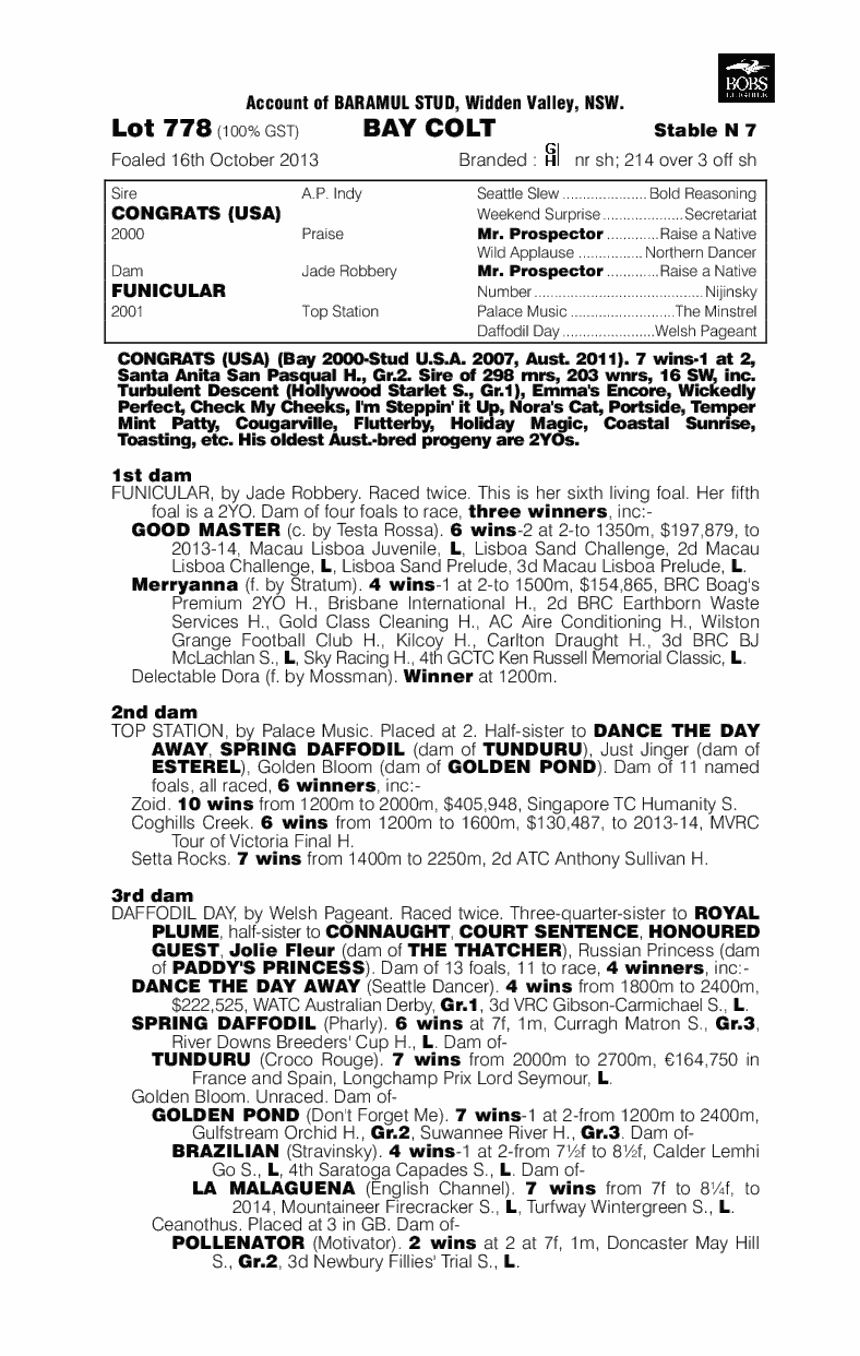 Congrats (USA) / Funicular (AUS) - pedigree