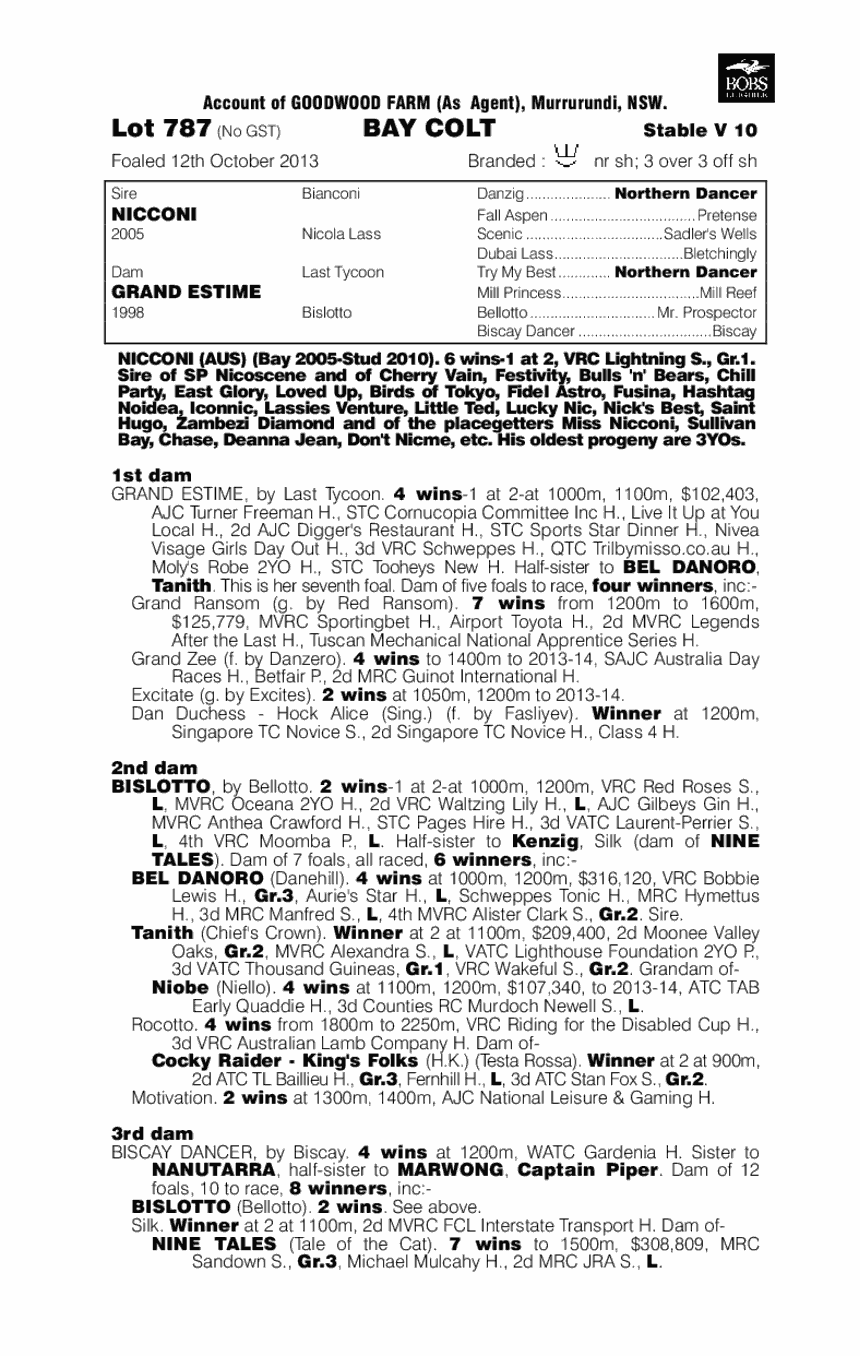 Nicconi (AUS) / Grand Estime (AUS) - pedigree
