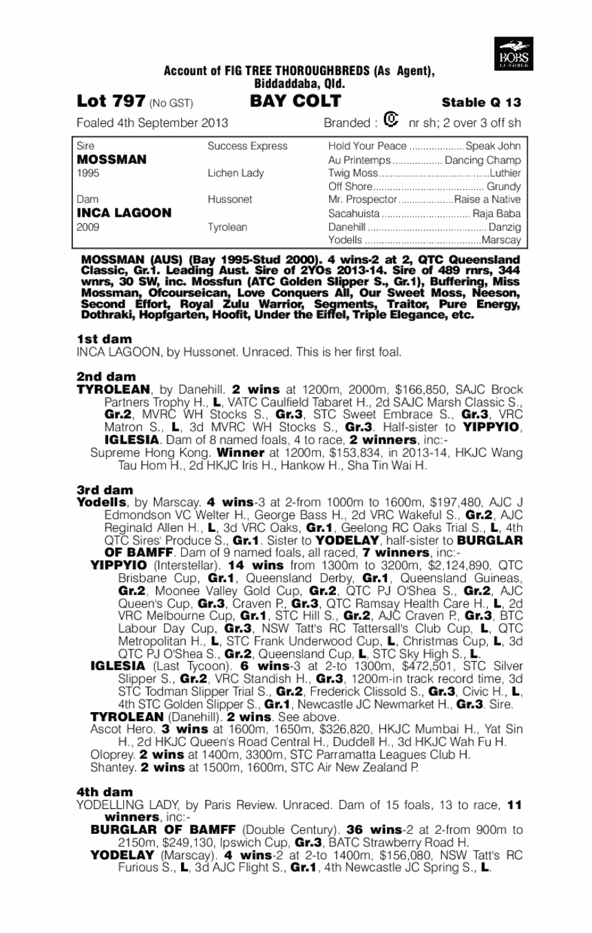 Mossman (AUS) / Inca Lagoon (AUS) - pedigree