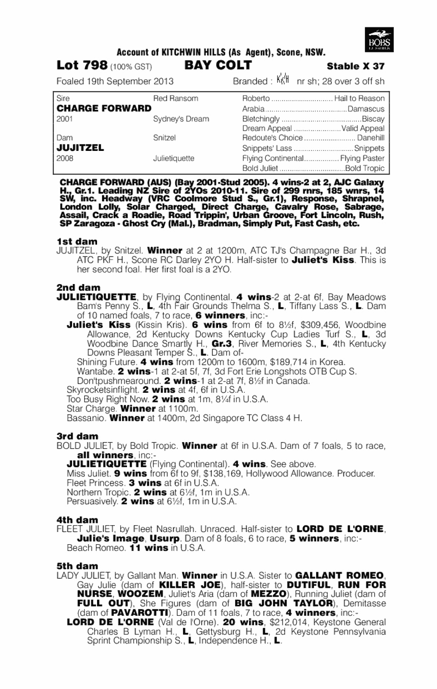 Charge Forward (AUS) / Jujitzel (AUS) - pedigree