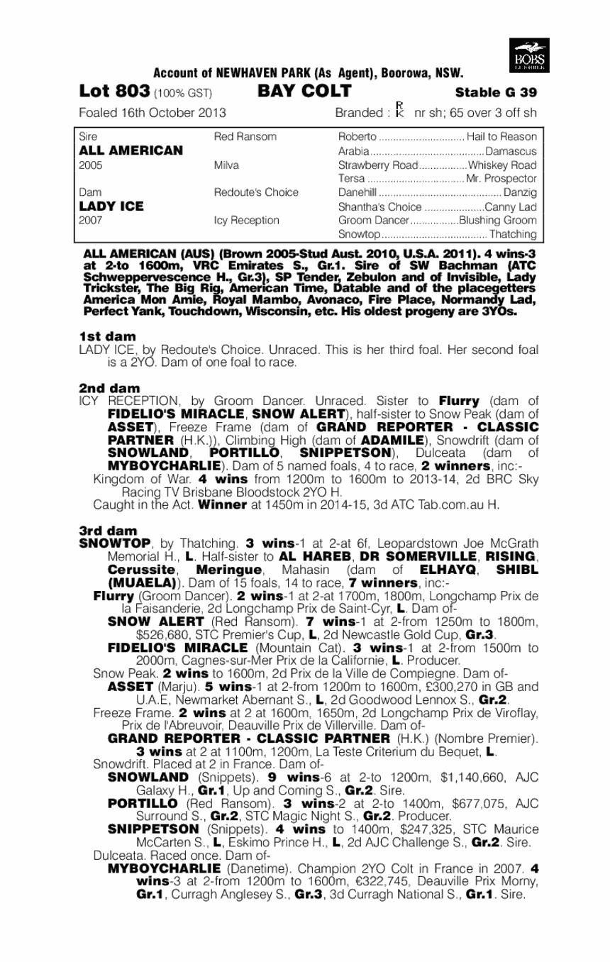 All American (AUS) / Lady Ice (AUS) - pedigree