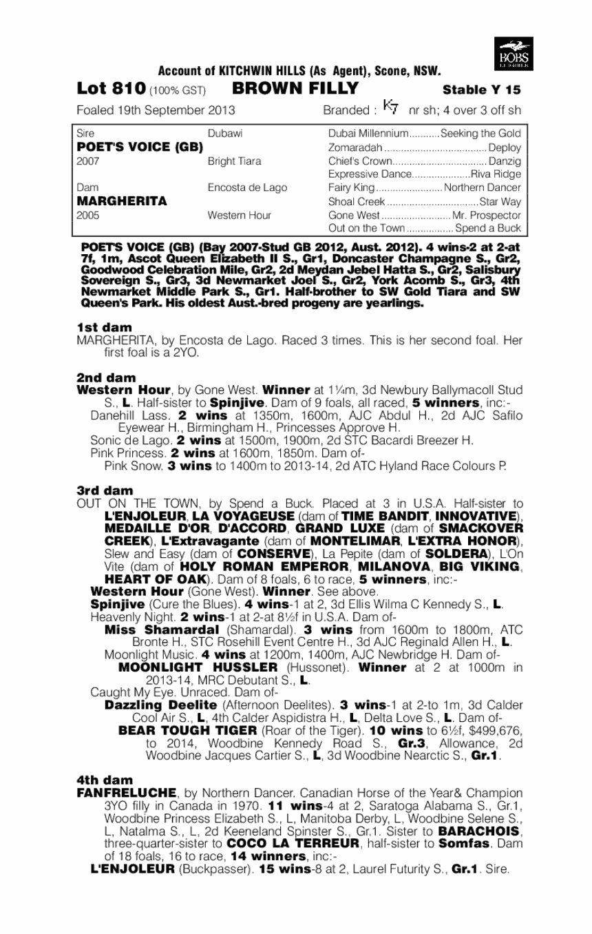 Poet's Voice (GB) / Margherita (AUS) - pedigree