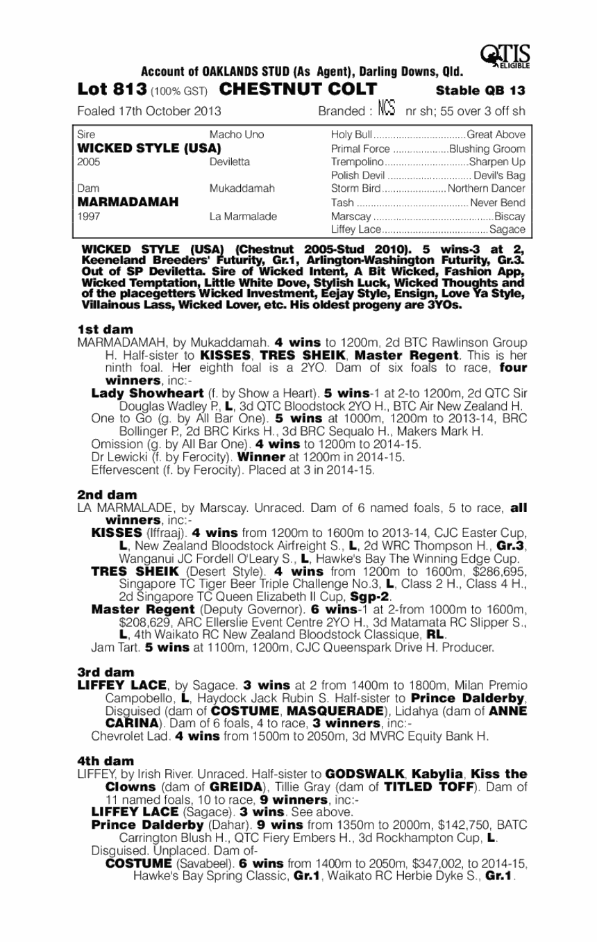 Cougar's Boy (AUS) - pedigree