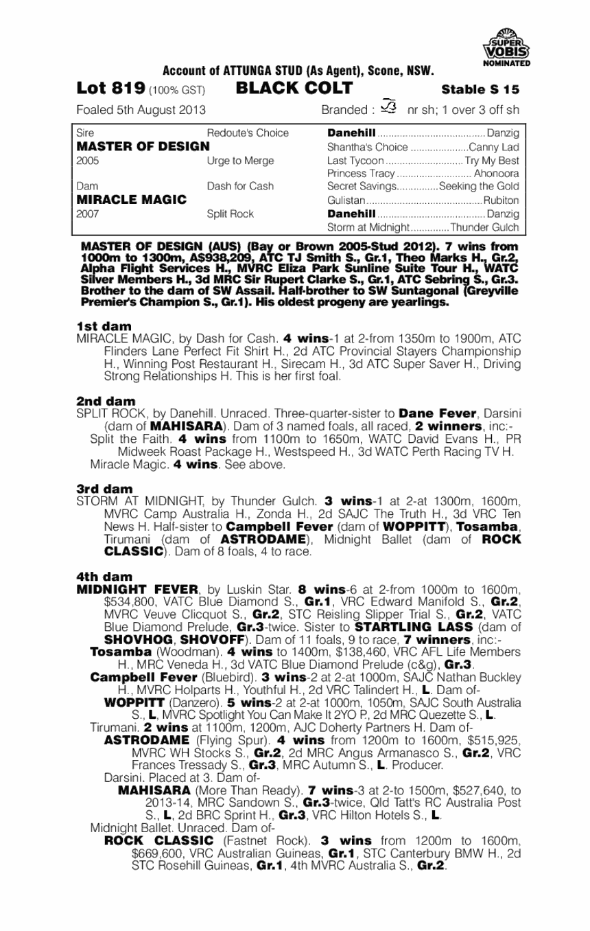 Master of Design (AUS) / Miracle Magic (AUS) - pedigree