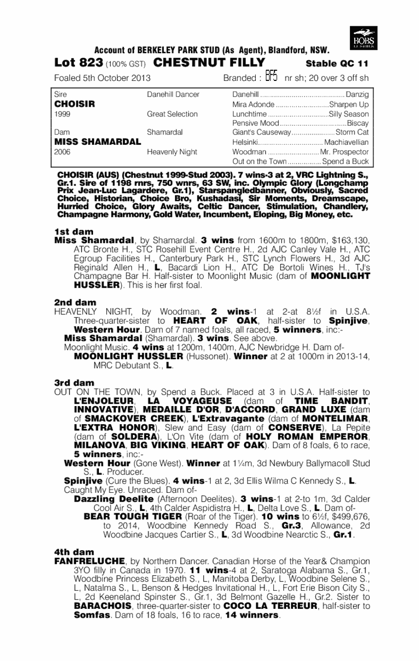 Choisir (AUS) / Miss Shamardal (AUS) - pedigree