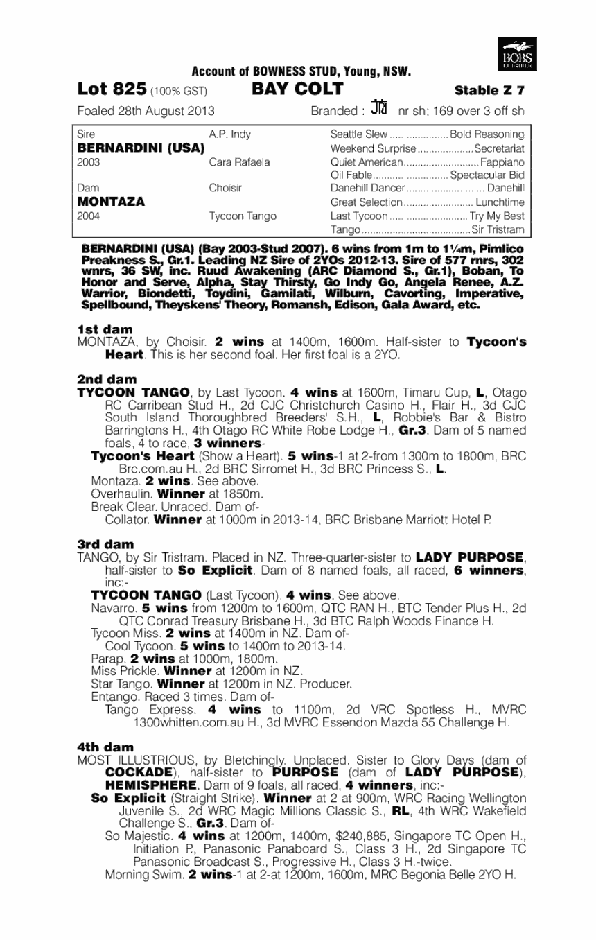 Master Bernini (AUS) - pedigree