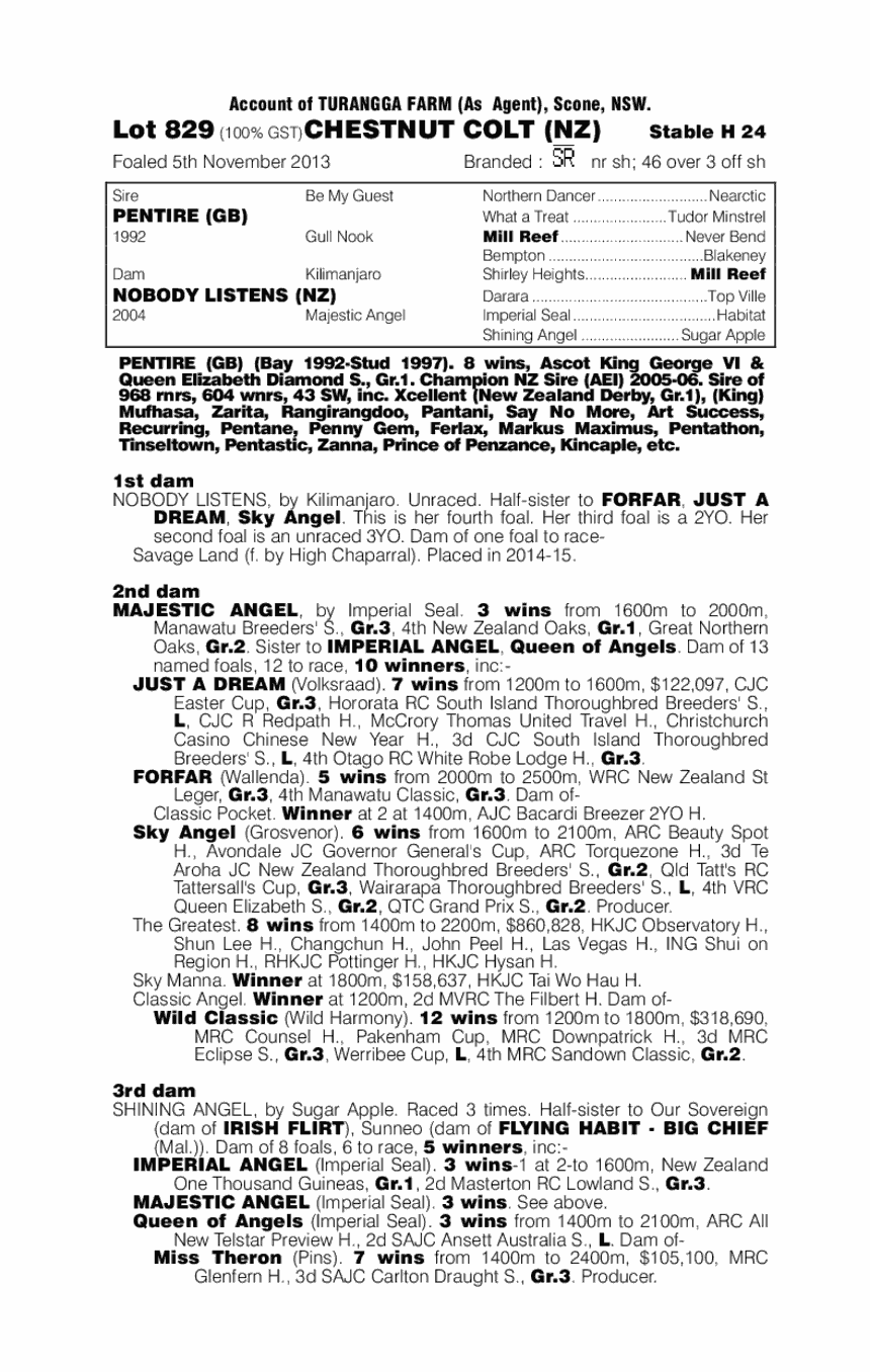 Pentire (GB) / Nobody Listens (NZ) - pedigree