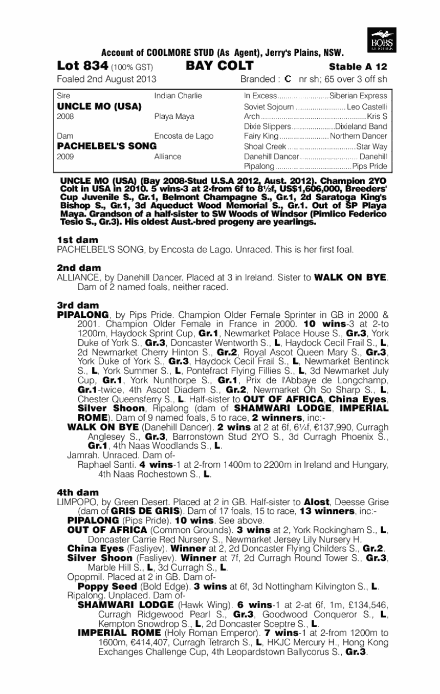 Uncle Mo (USA) / Pachelbel's Song (AUS) - pedigree