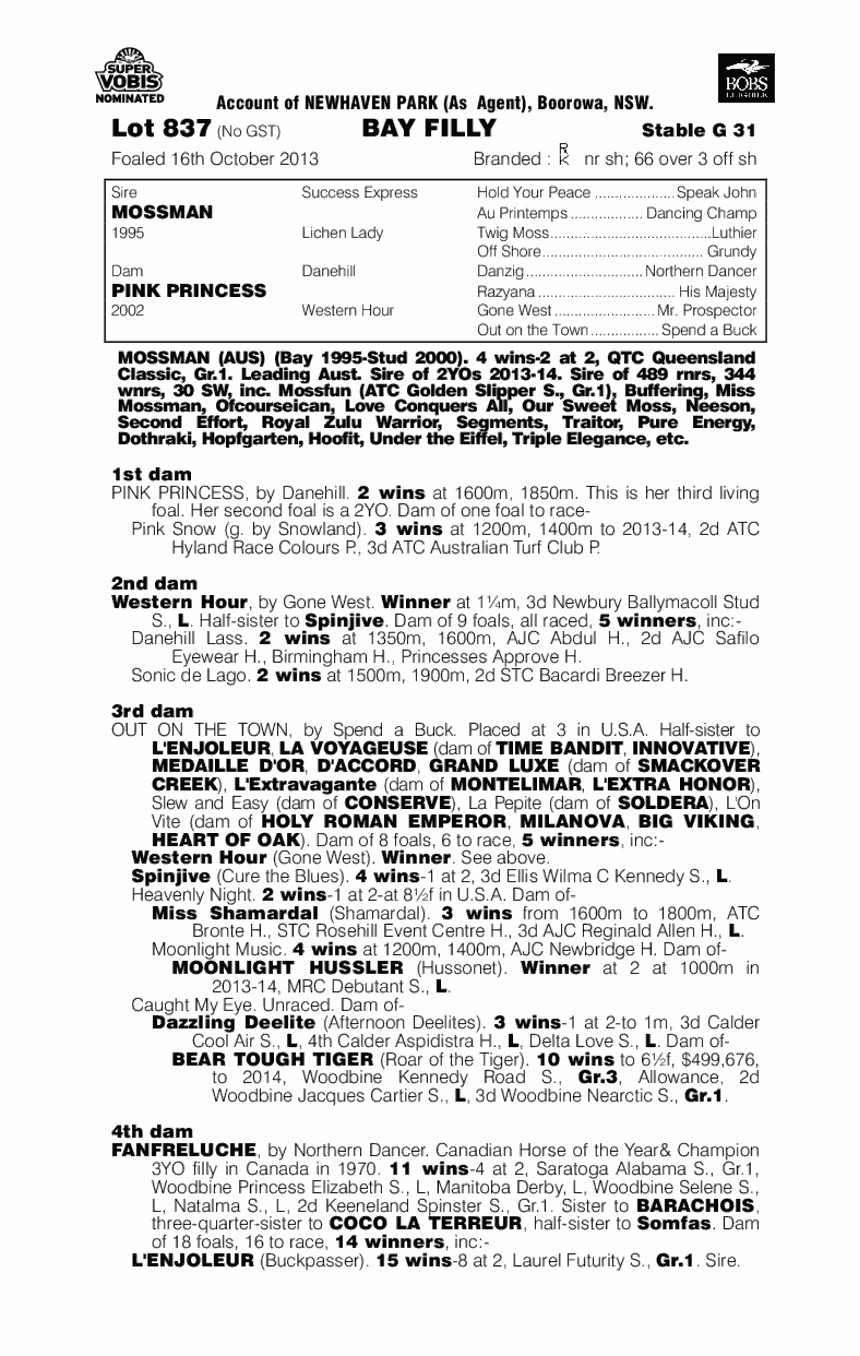 Cushion Pink (AUS) - pedigree