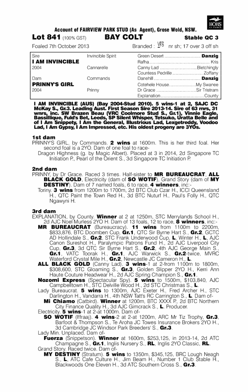 Chasin (AUS) - pedigree