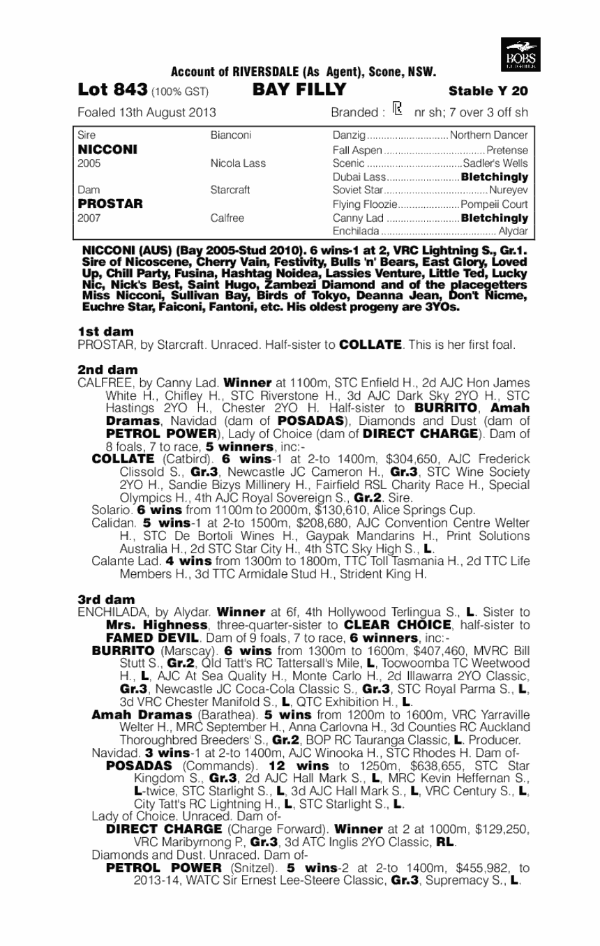 Caipirinha (AUS) - pedigree