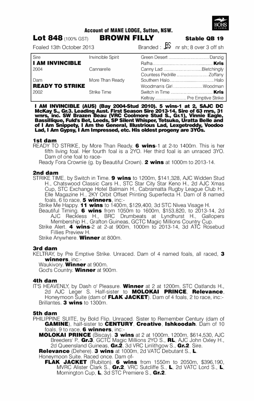 Babooshka (AUS) - pedigree