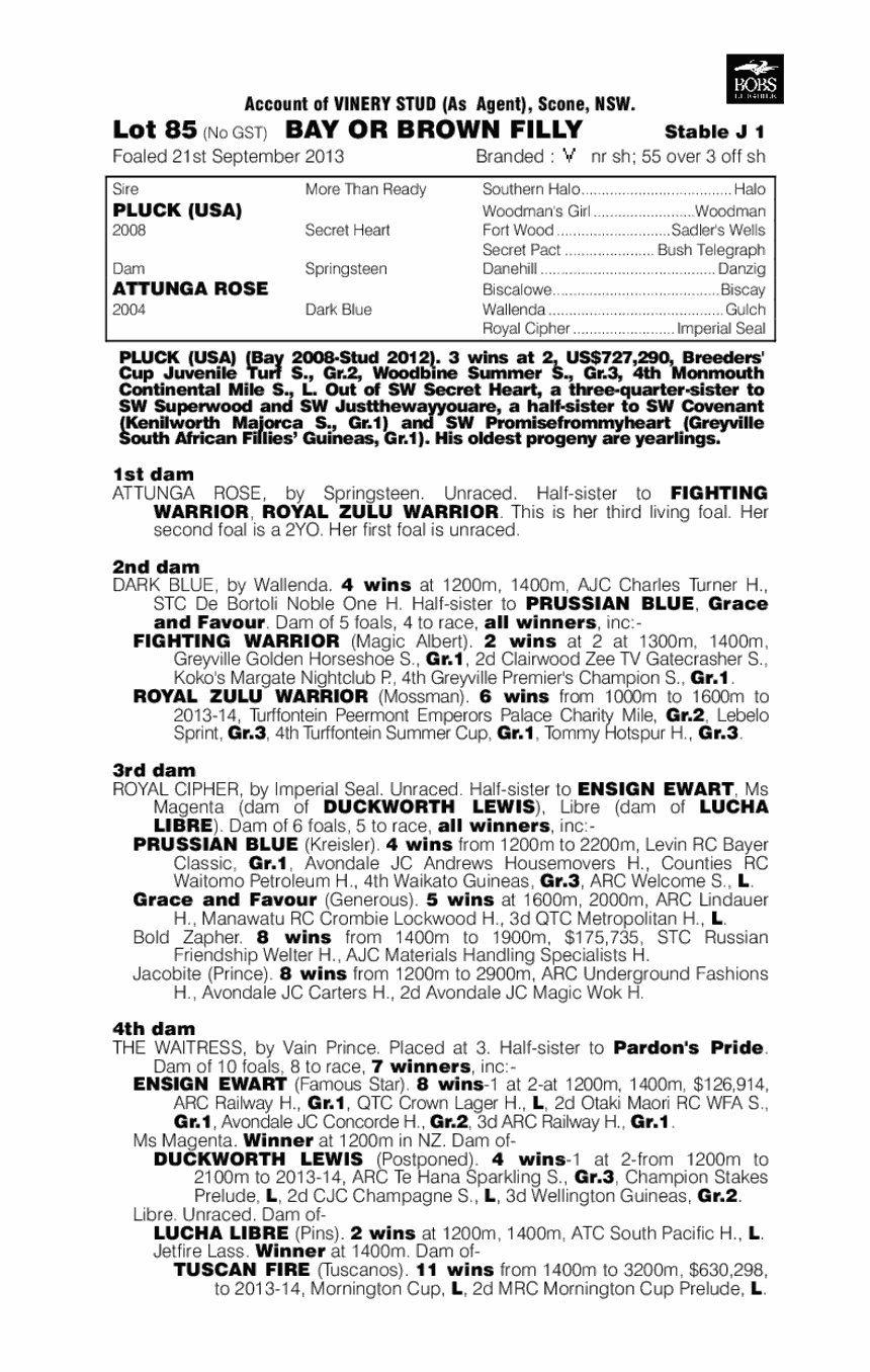 Pluck (USA) / Attunga Rose (AUS) - pedigree