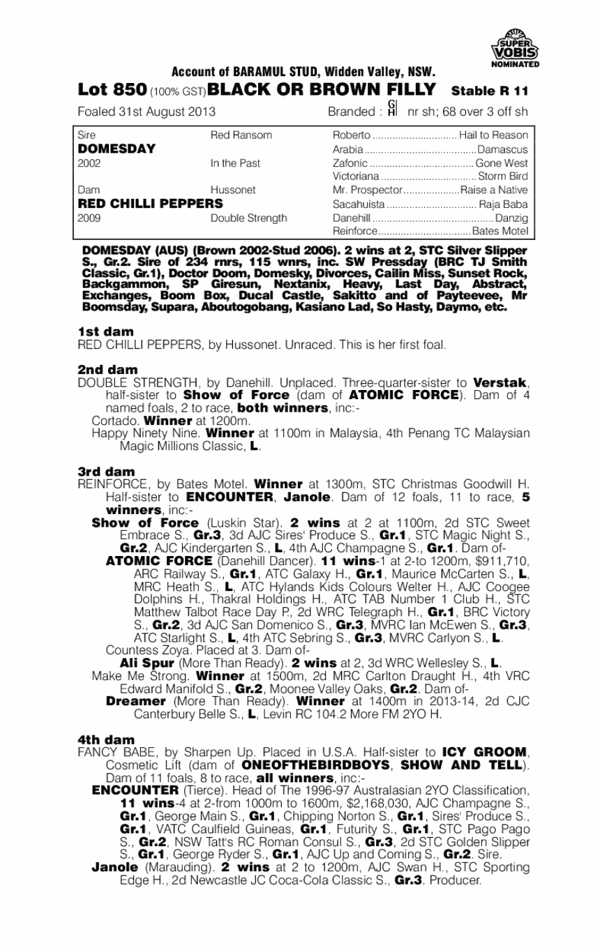 Domesday (AUS) / Red Chilli Peppers (AUS) - pedigree