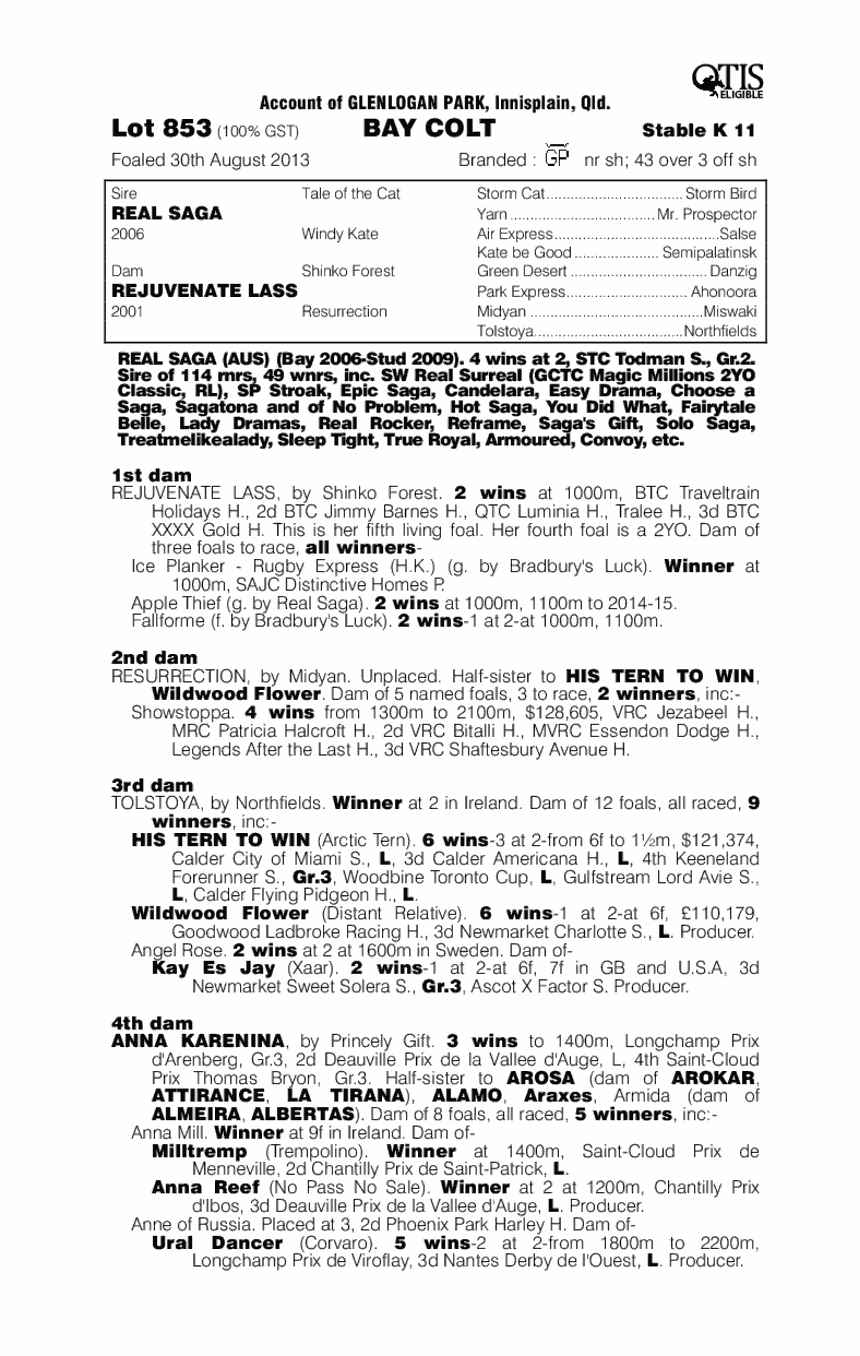 Real Saga (AUS) / Rejuvenate Lass (AUS) - pedigree