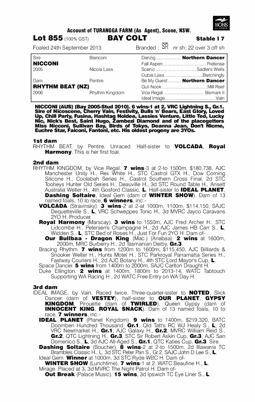 Nicconi (AUS) / Rhythm Beat (NZ) - pedigree