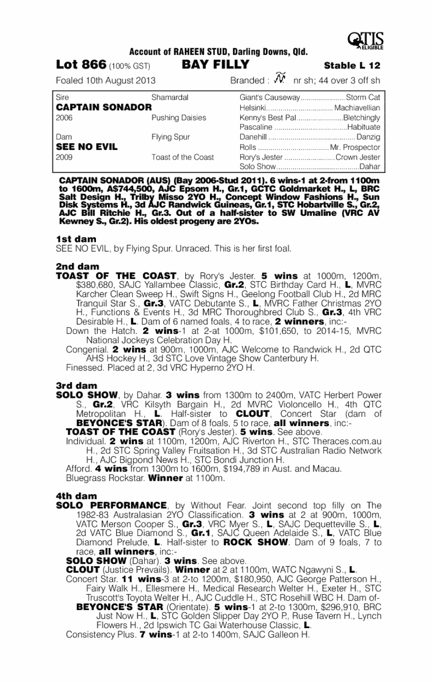 Mizaru (AUS) - pedigree