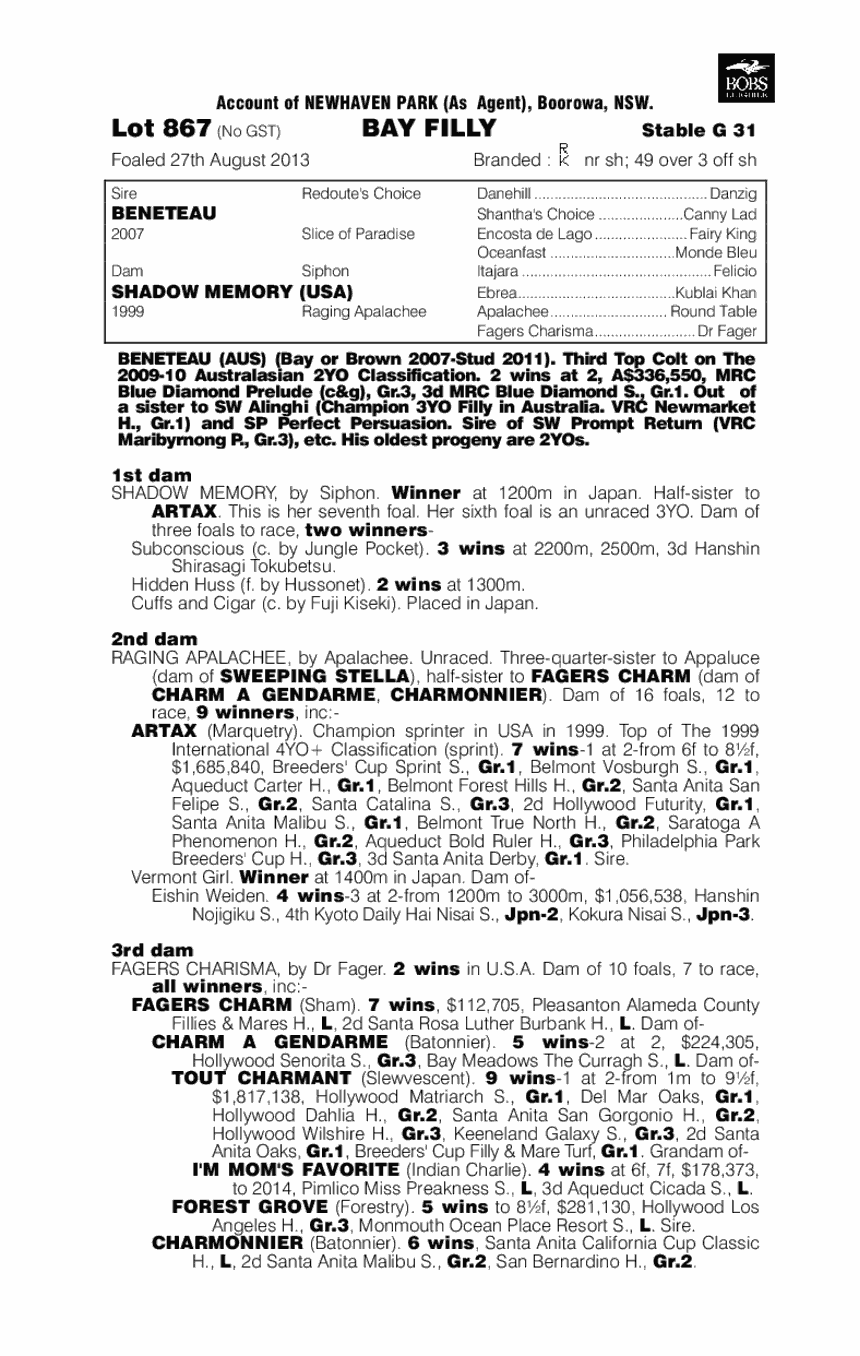 Safe Harbour (AUS) - pedigree