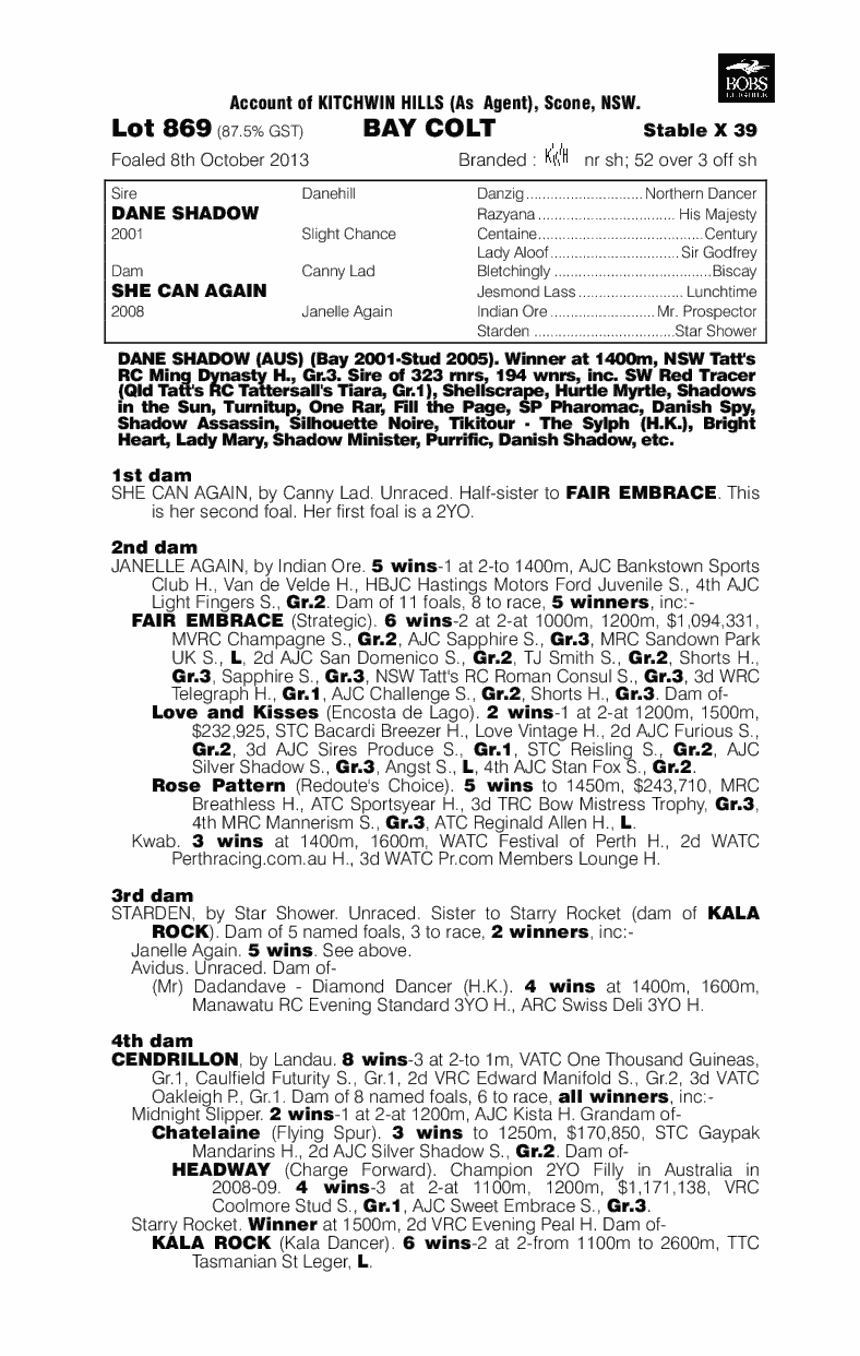 Making Shadows (AUS) - pedigree