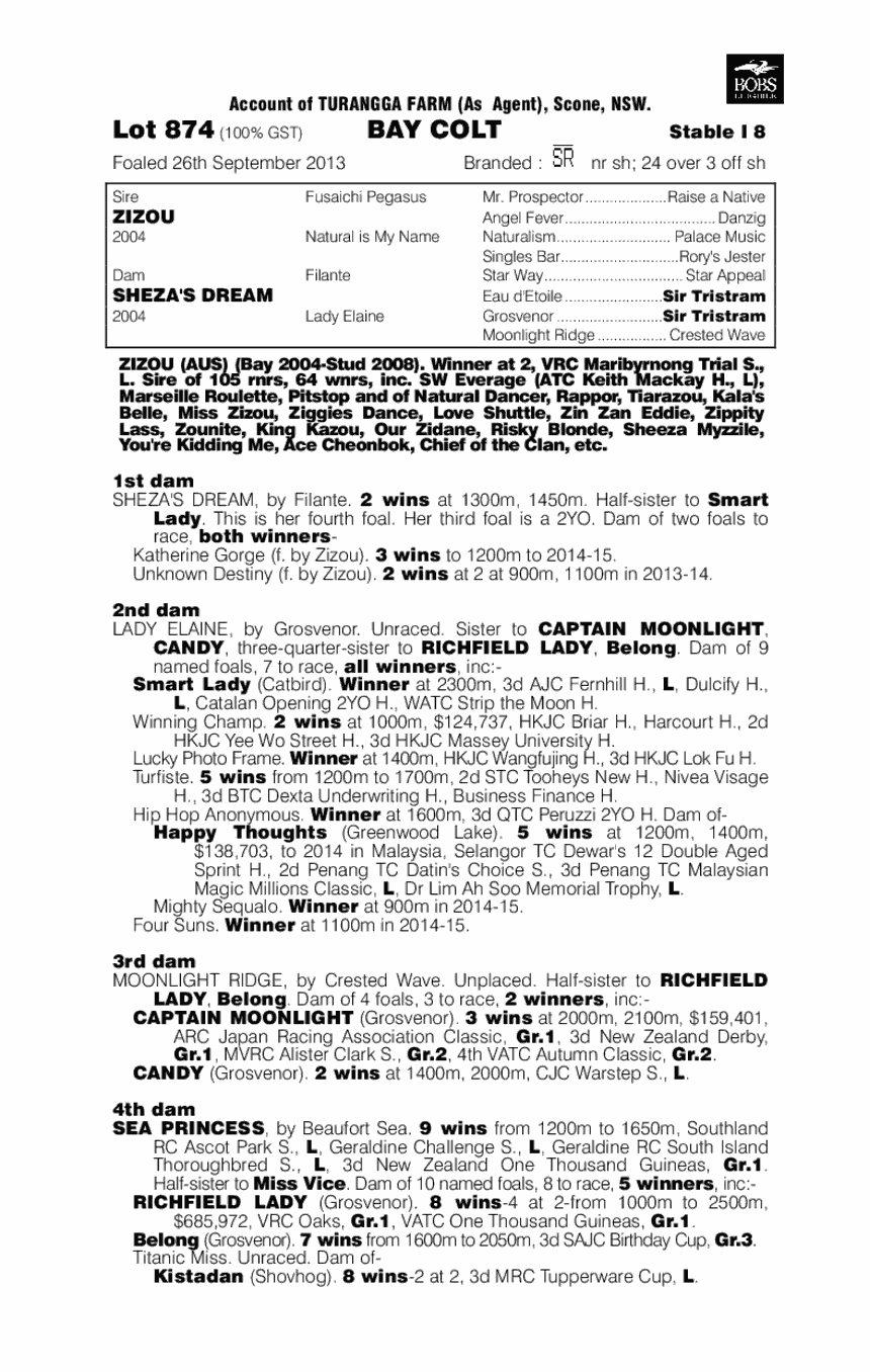 Zizou (AUS) / Sheza's Dream (AUS) - pedigree