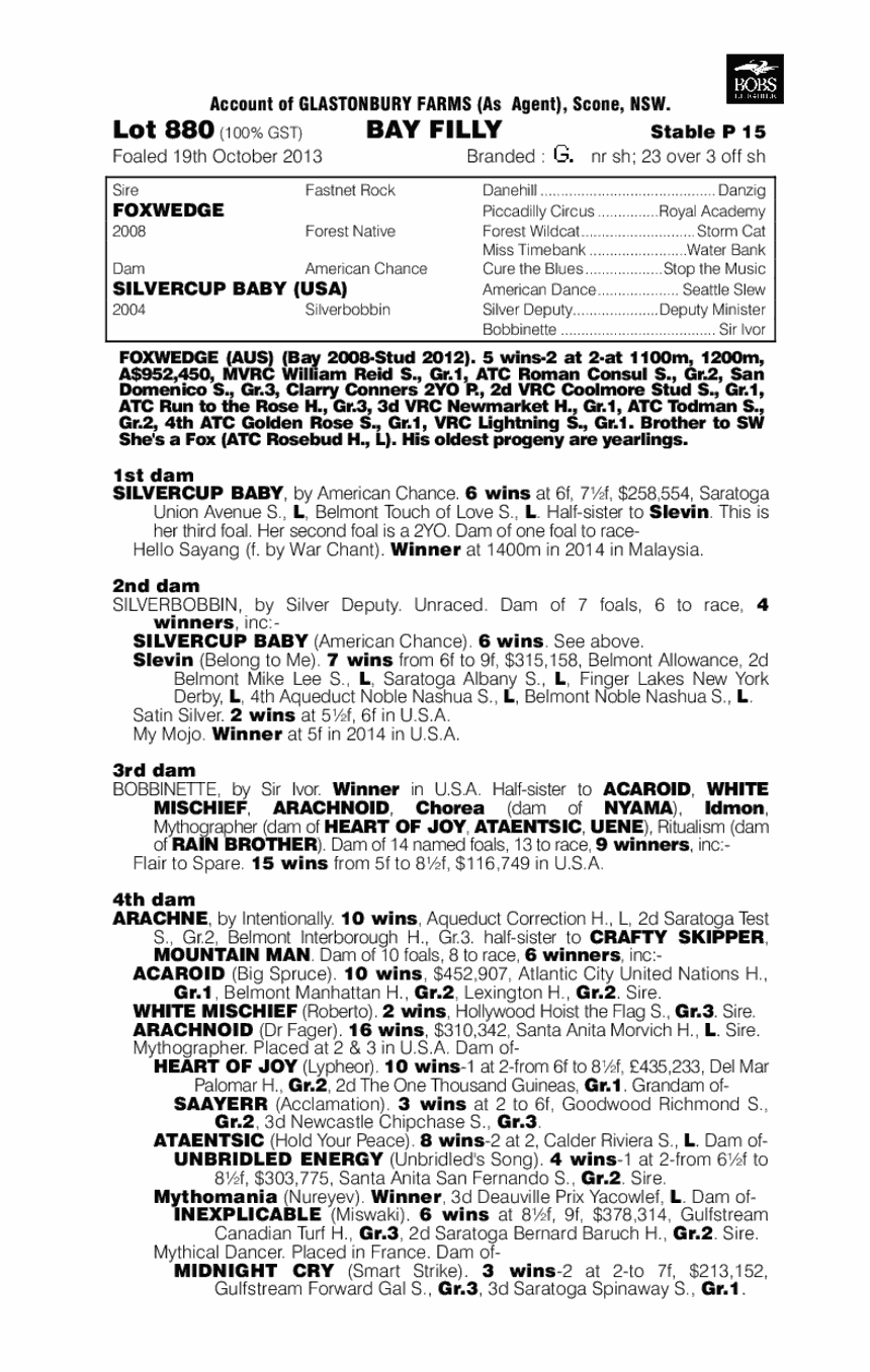 Love Me Baby (AUS) - pedigree