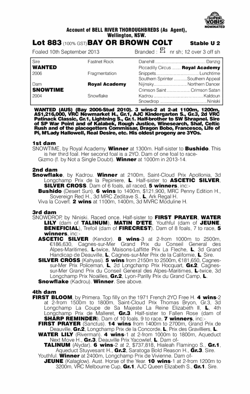 Wanted (AUS) / Snowtime (AUS) - pedigree