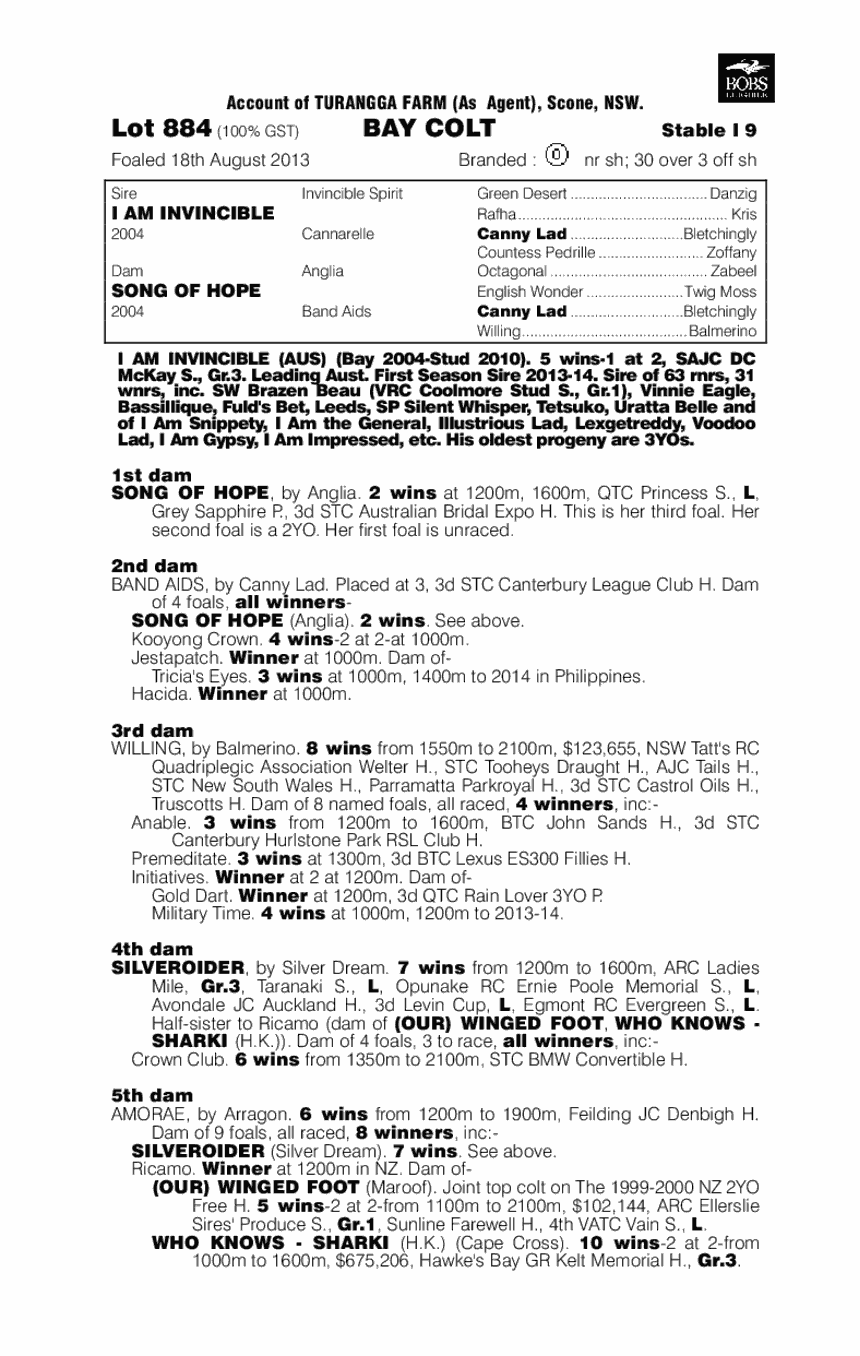 Wearethechampions (AUS) - pedigree