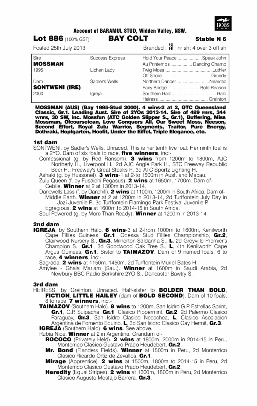 Mossman (AUS) / Sontweni (IRE) - pedigree