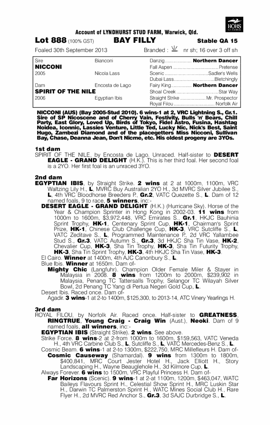 Nicconi (AUS) / Spirit of the Nile (AUS) - pedigree