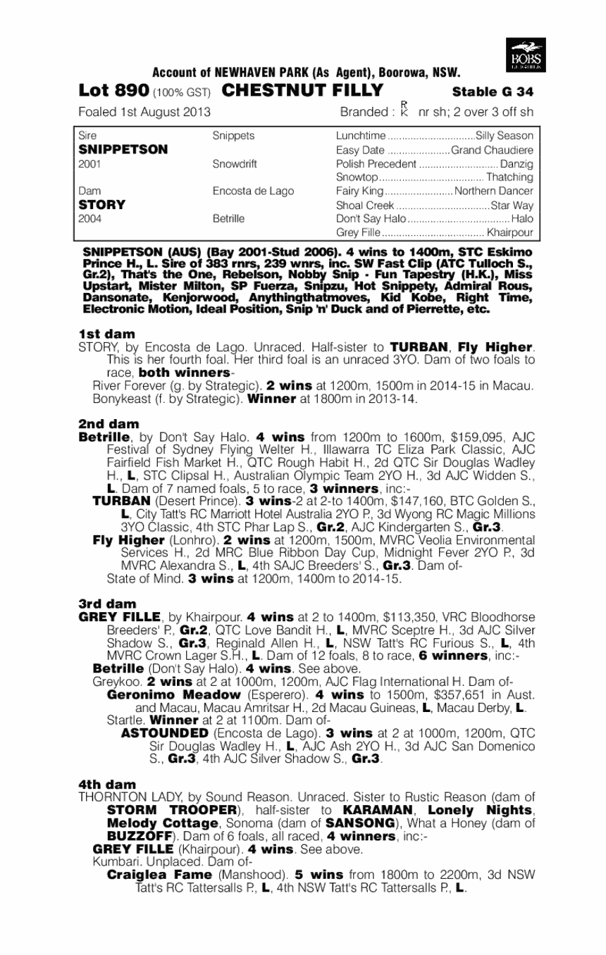 Snippetson (AUS) / Story (AUS) - pedigree