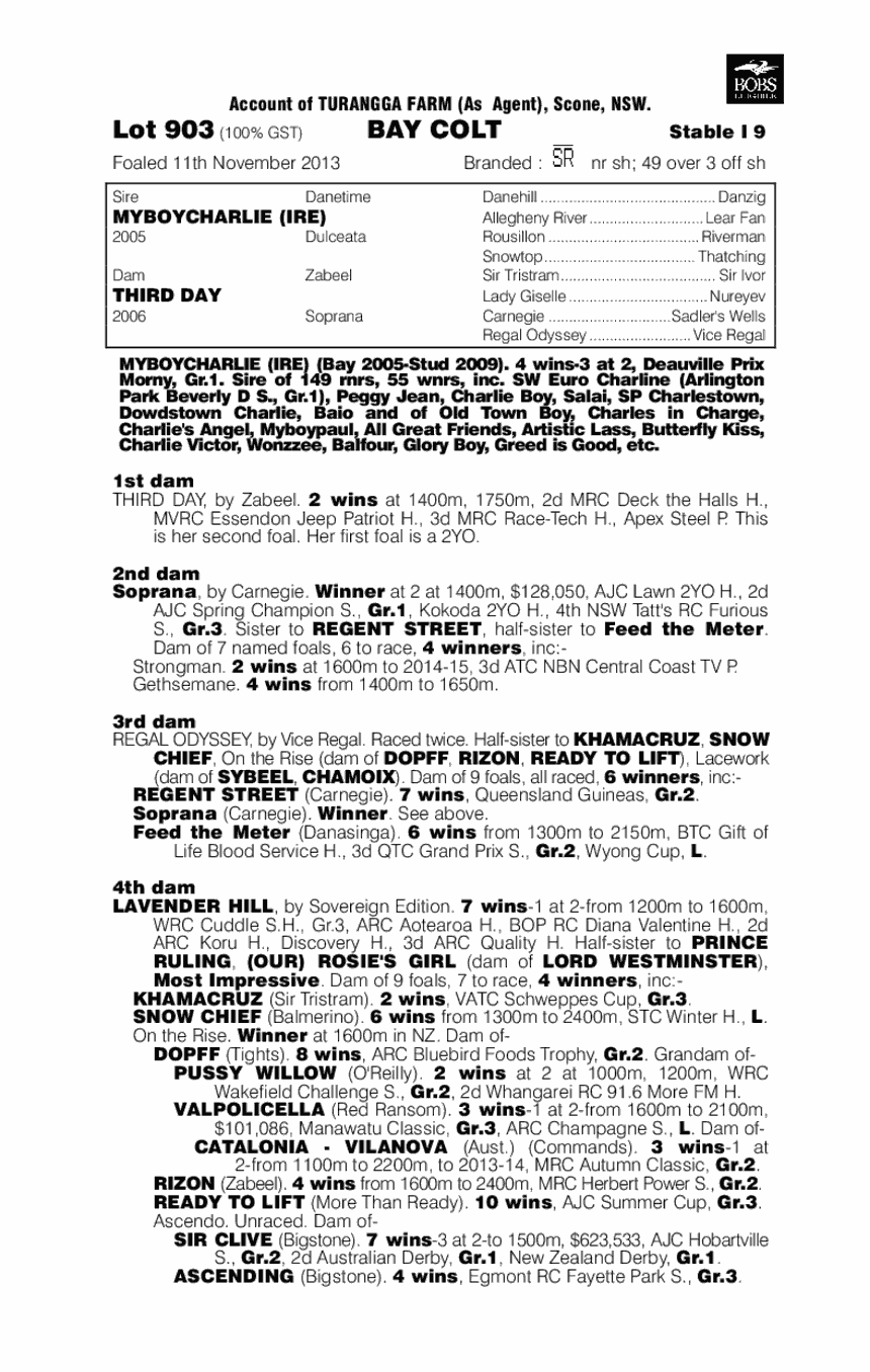 Charlie's Day (AUS) - pedigree