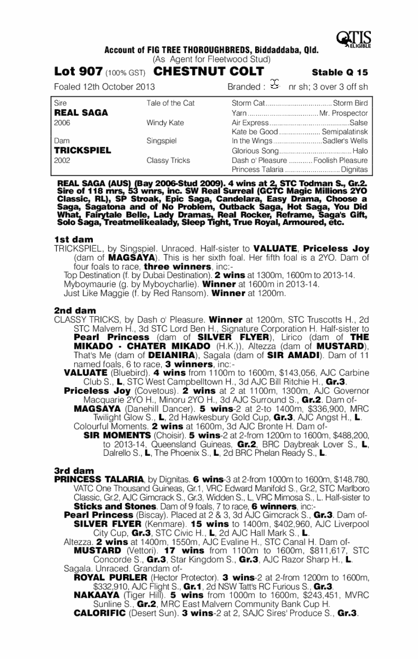 Real Saga (AUS) / Trickspiel (AUS) - pedigree