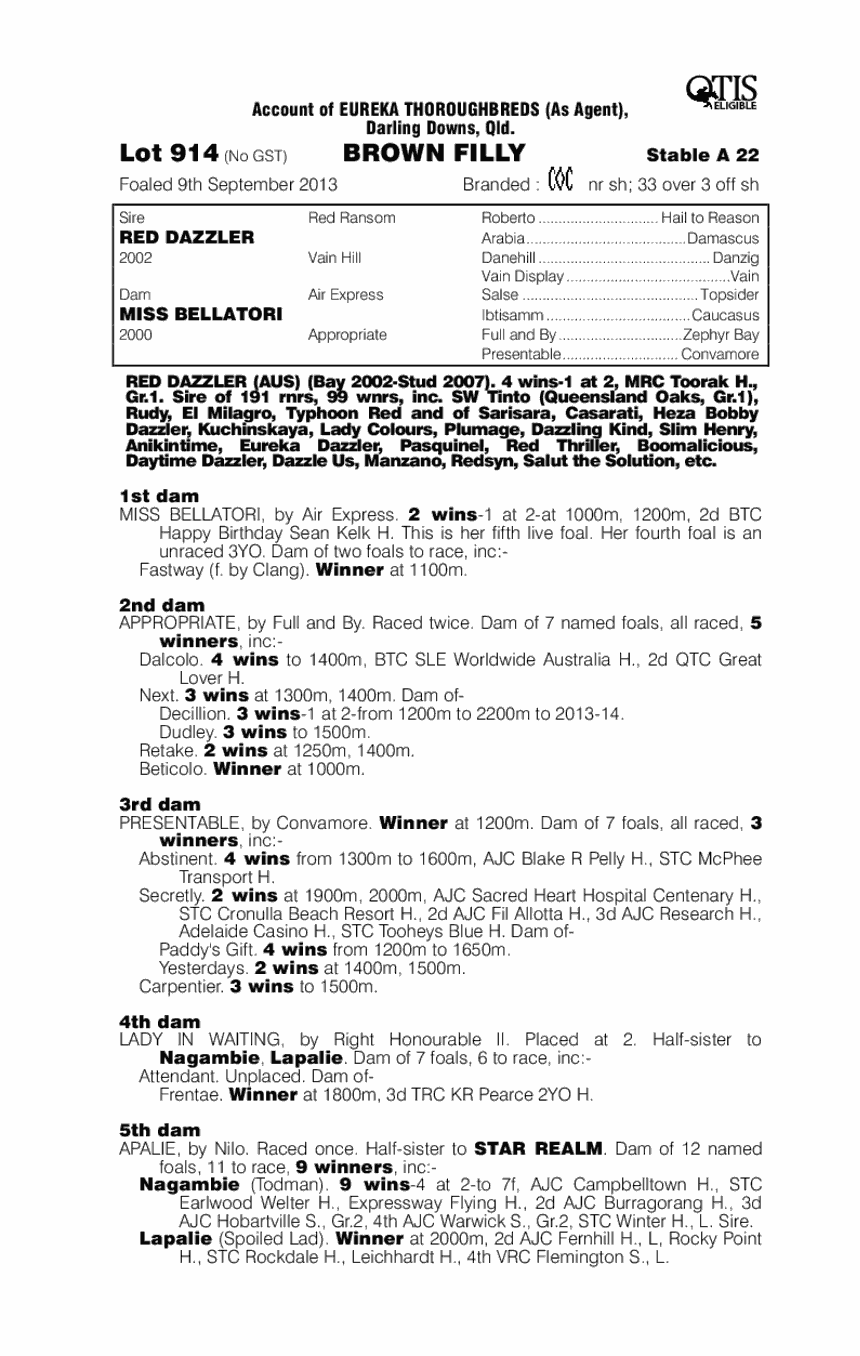 Red Dazzler (AUS) / Miss Bellatori (AUS) - pedigree