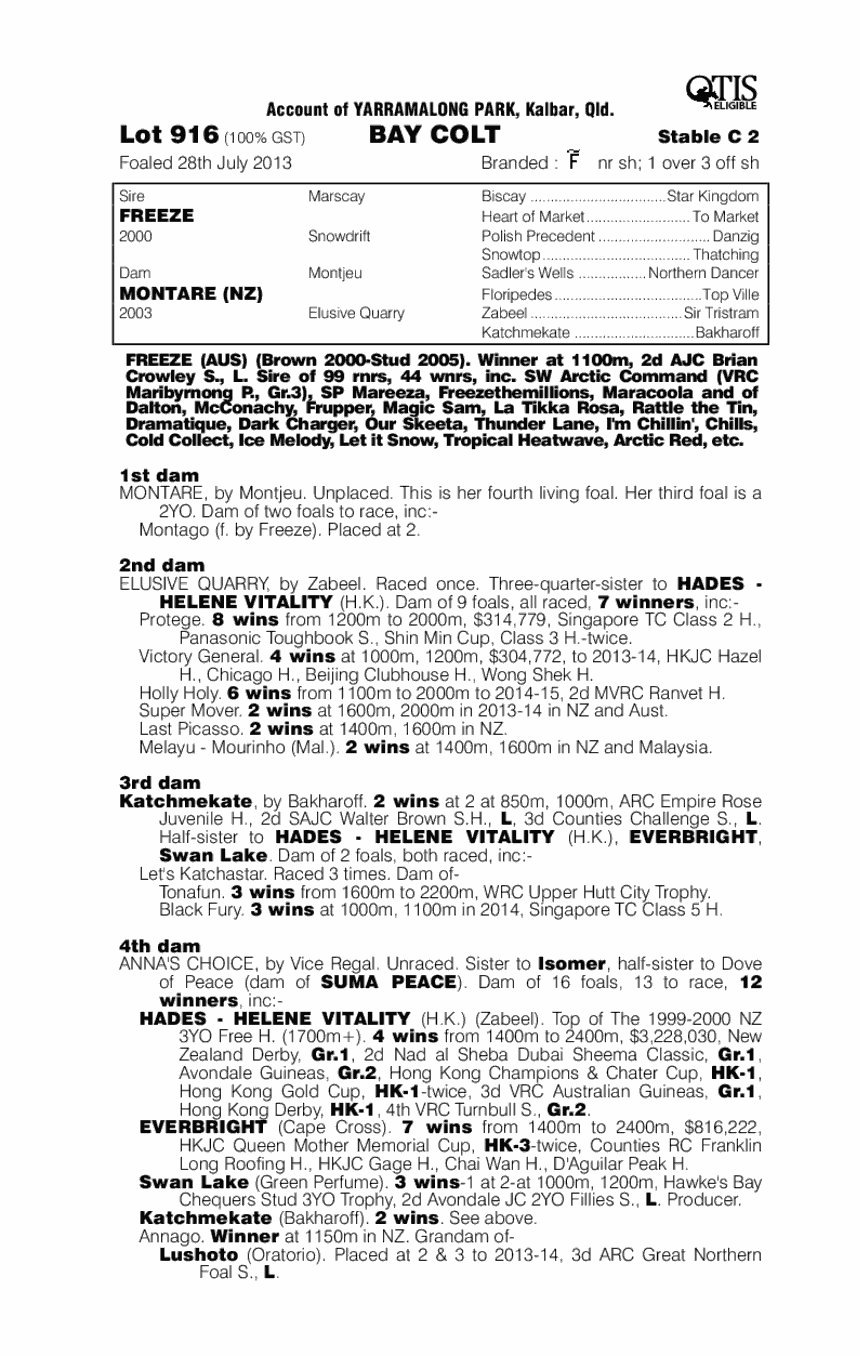 Freeze (AUS) / Montare (NZ) - pedigree