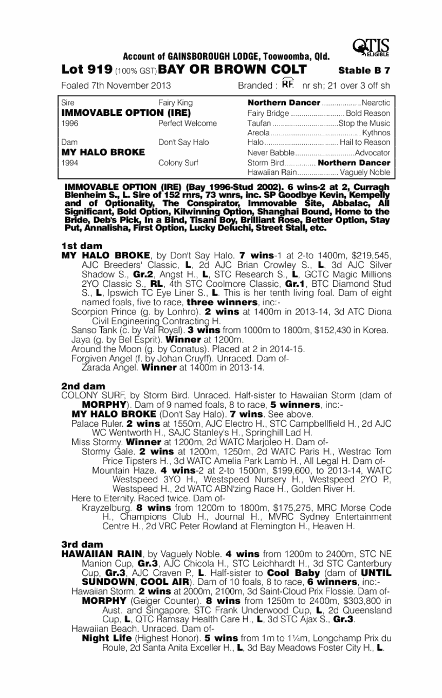 Immovable Option (IRE) / My Halo Broke (AUS) - pedigree