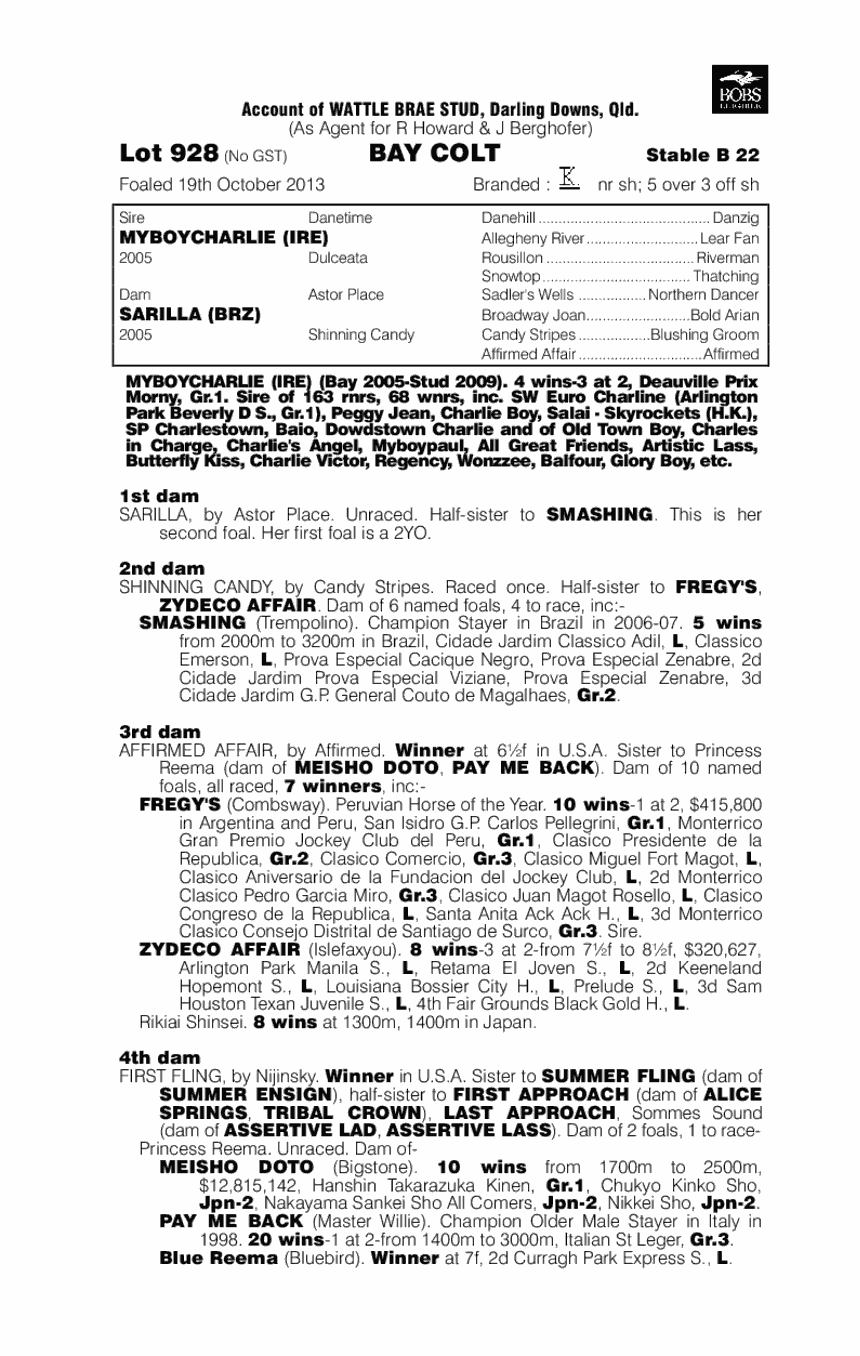 Myboycharlie (IRE) / Sarilla (BRZ) - pedigree