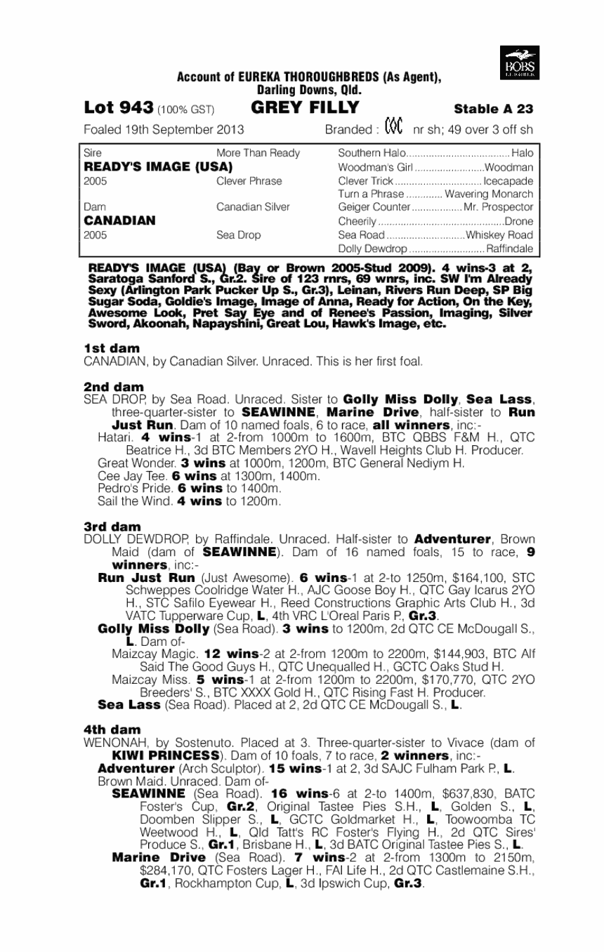 Ready's Image (USA) / Canadian (AUS) - pedigree