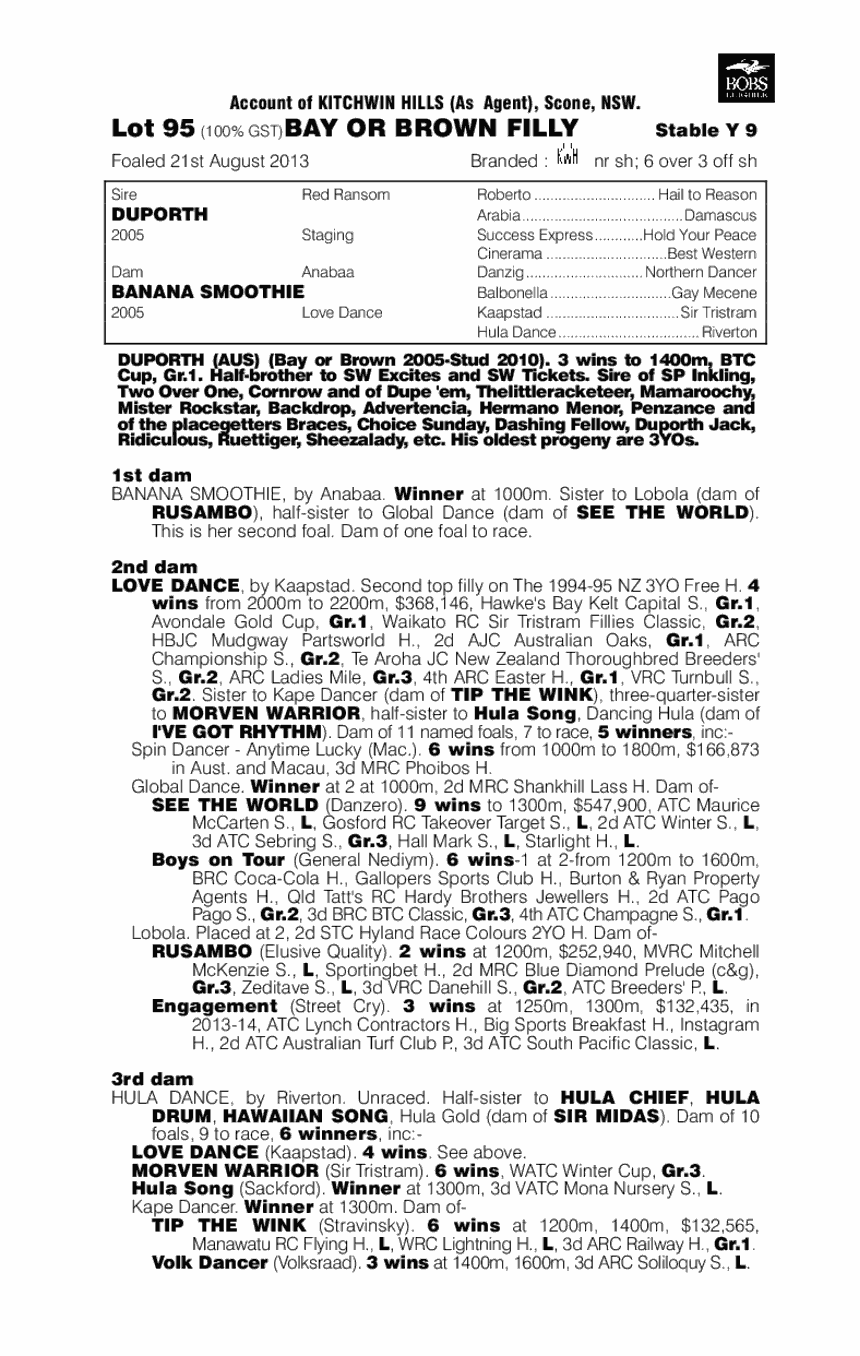 Duporth (AUS) / Banana Smoothie (AUS) - pedigree