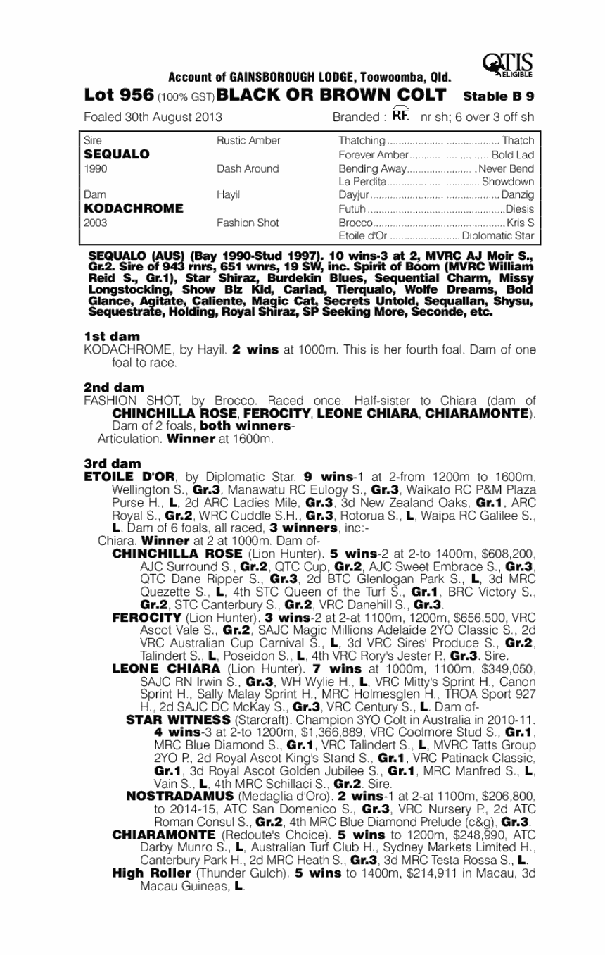 Sequalo (AUS) / Kodachrome (AUS) - pedigree