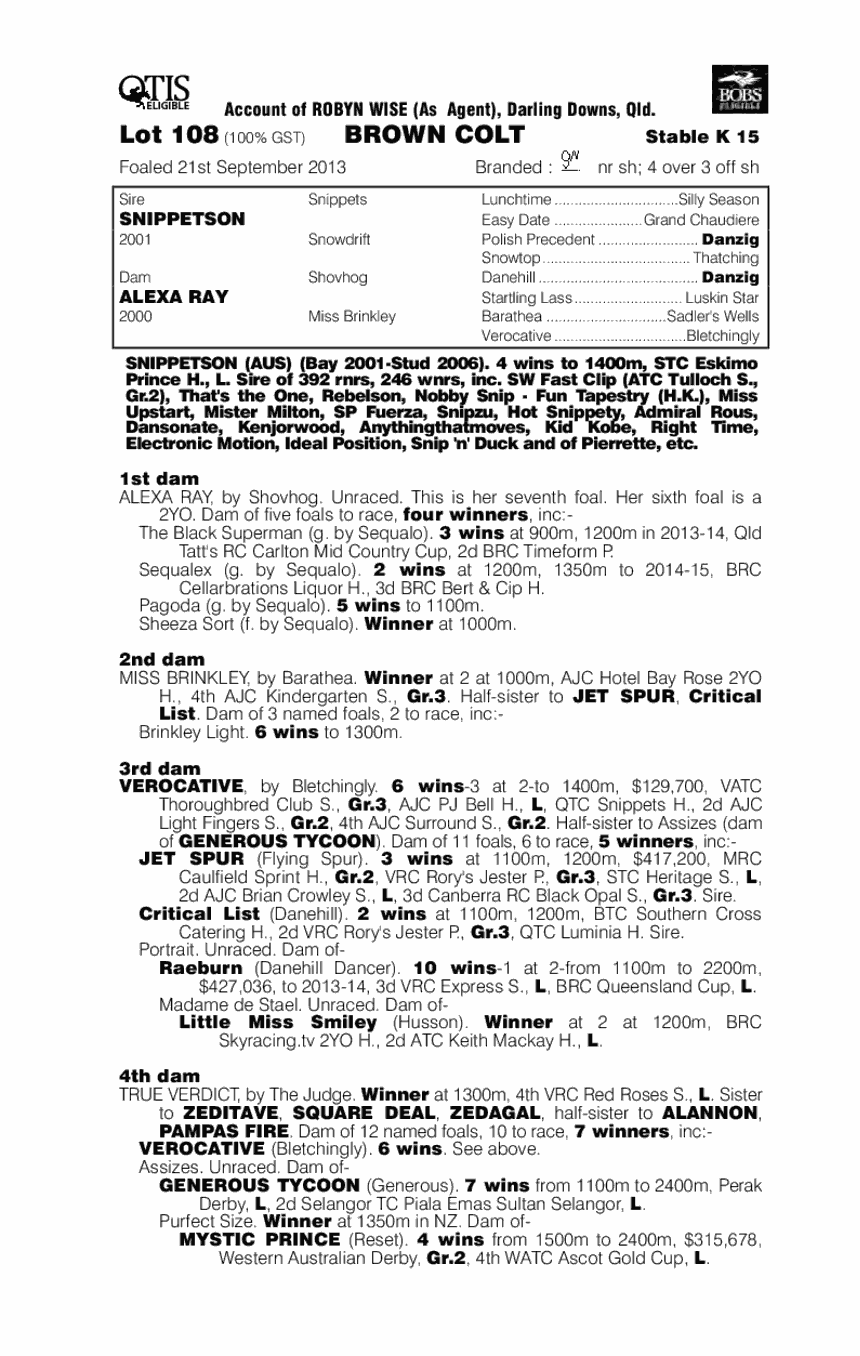 Snippetson (AUS) / Alexa Ray (AUS) - pedigree
