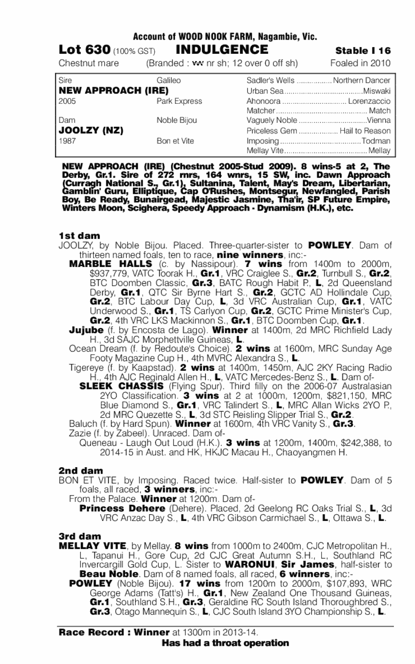 Indulgence (AUS) - pedigree