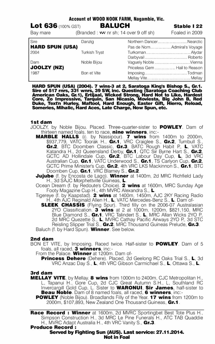 Baluch (AUS) - pedigree