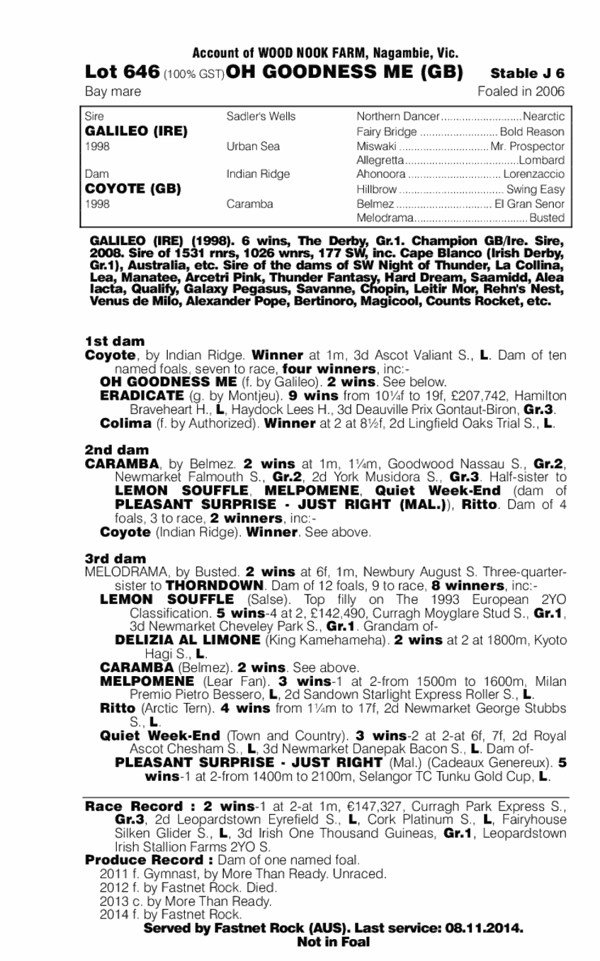 Oh Goodness Me (GB) - pedigree