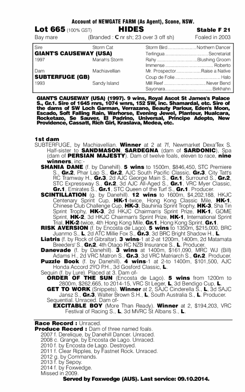 Hides (AUS) - pedigree
