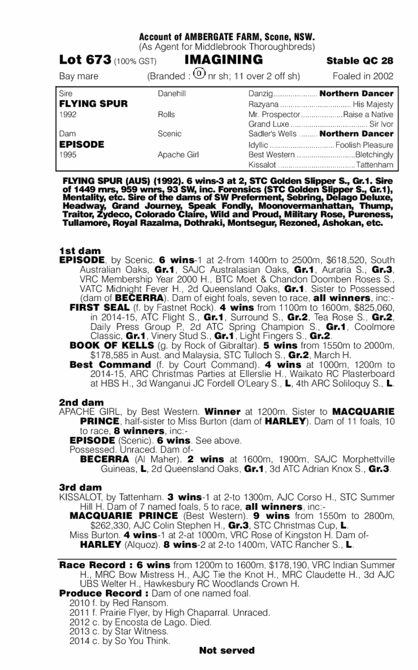 Imagining (AUS) - pedigree