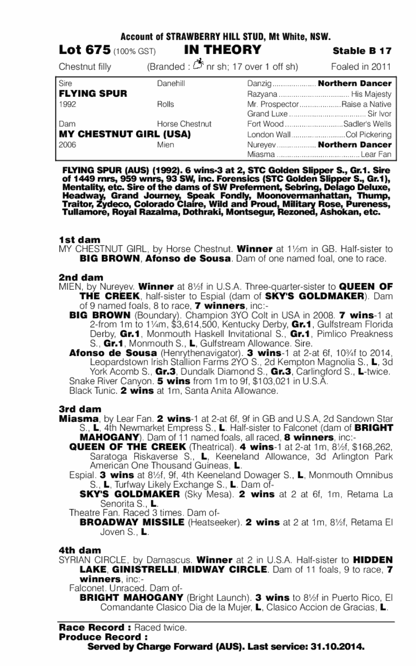 In Theory (AUS) - pedigree