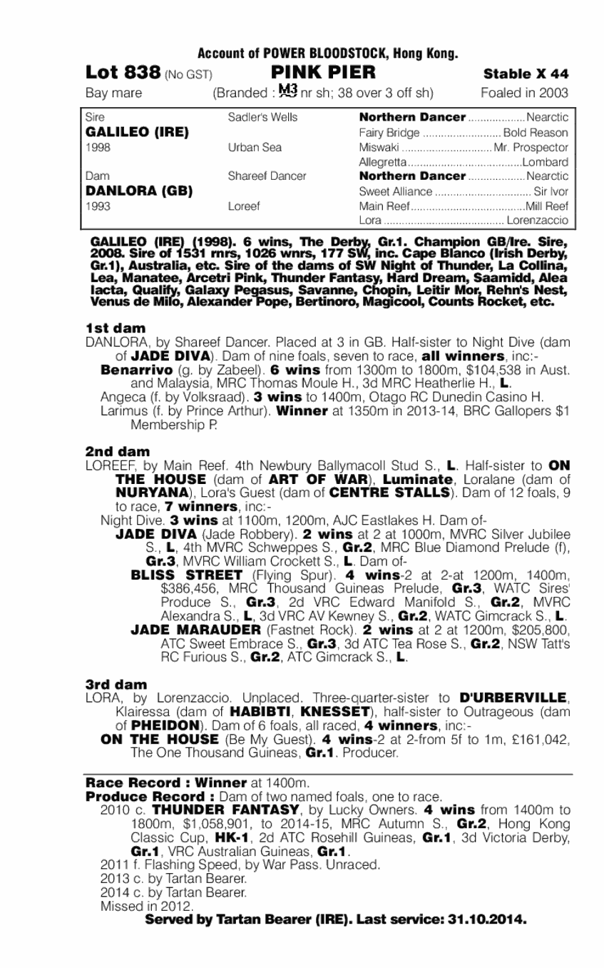 Pink Pier (AUS) - pedigree