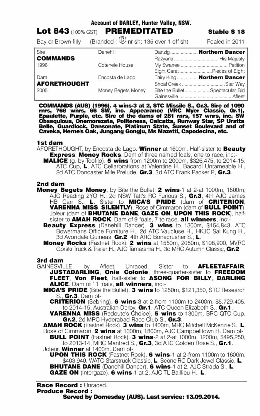 Premeditated (AUS) - pedigree